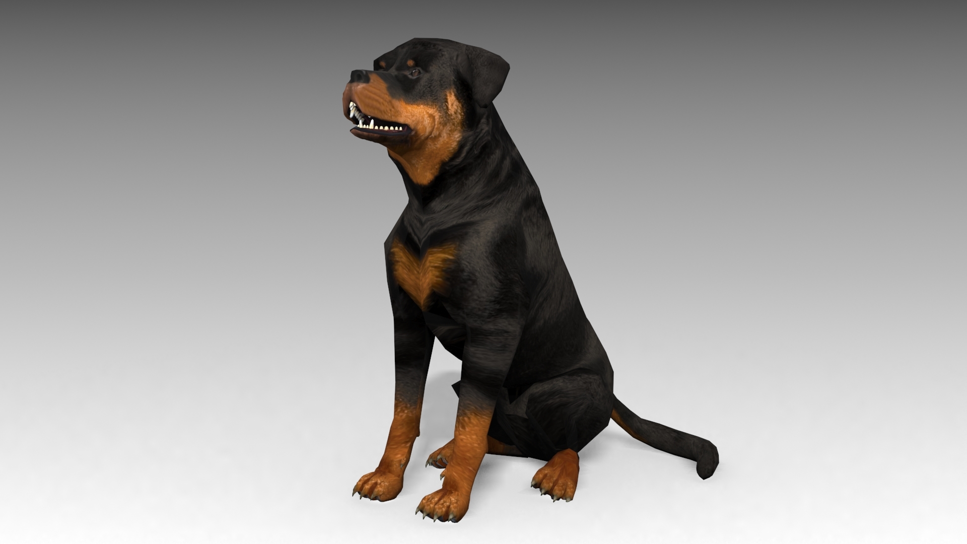rottweiler animations 3d max