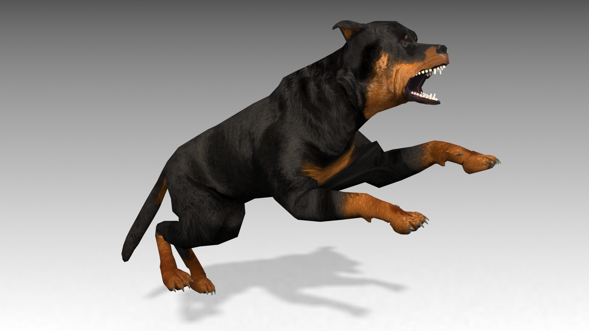 rottweiler animations 3d max
