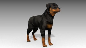 rottweiler animations 3d max