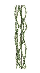 plant ivy model
