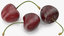 3D cherries model