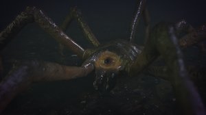 creature swamp 3D model