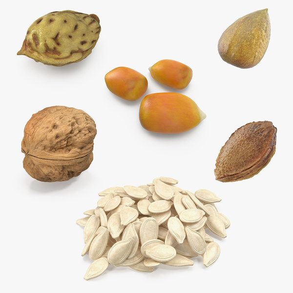 Seeds Peach Avocado 3d Turbosquid 1591527
