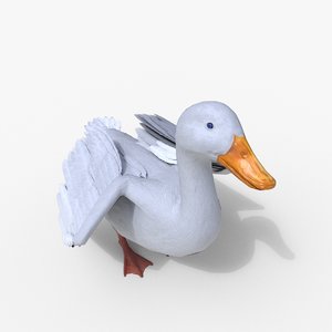 3D duck bird model