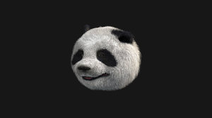 3D panda head