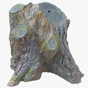 3D tree stump 05 model