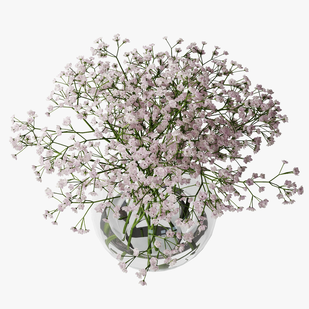 Gypsophila vase model TurboSquid 1592189