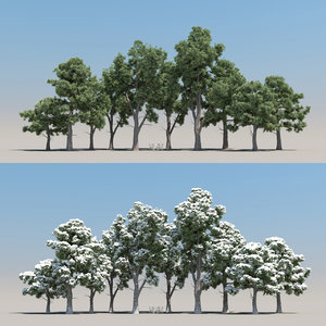 3D 10 pine trees model