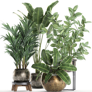 3D plants interior pots