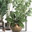 3D plants interior pots