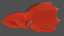 vampire squid 3D model