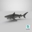 3d model tiger shark swimming modeled