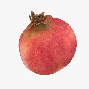 pomegranate fruit food 3D