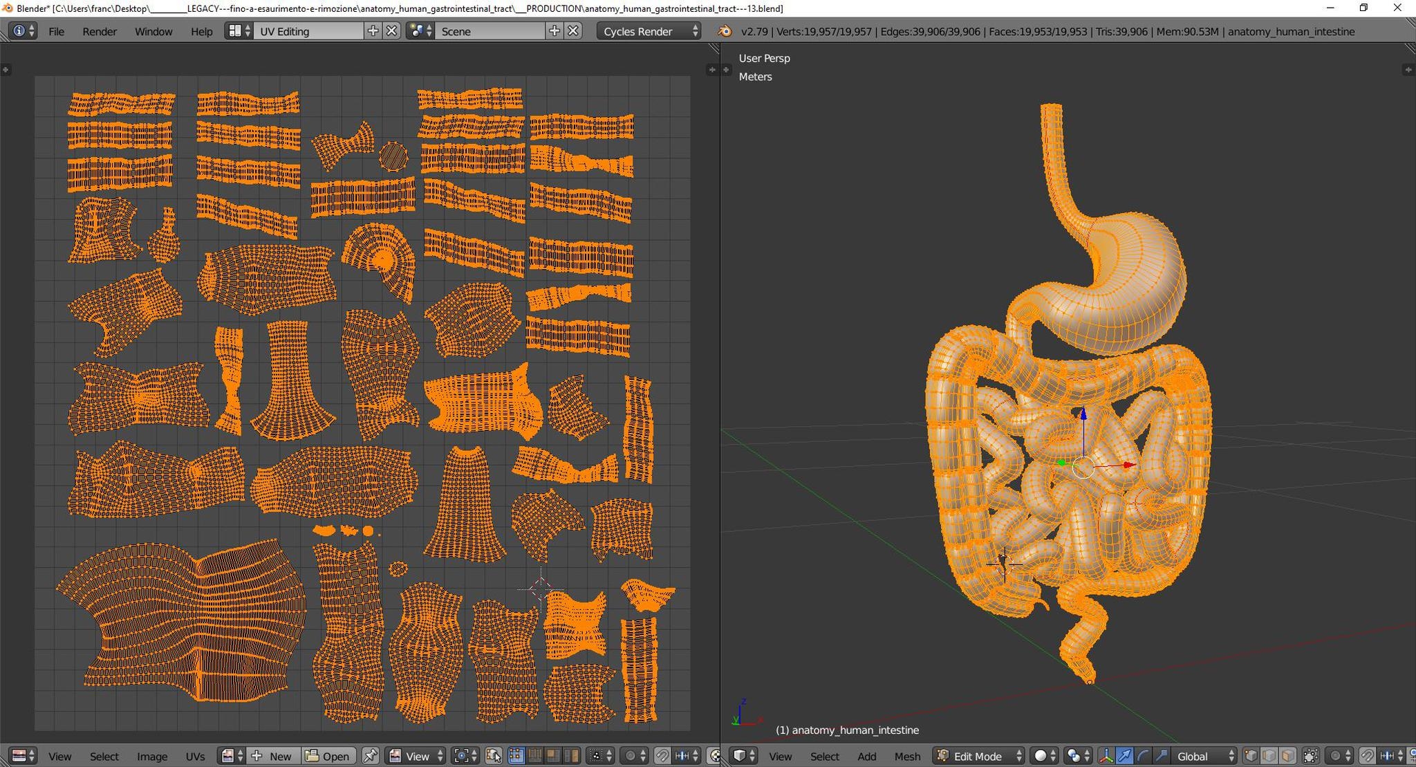 pbr uv-textured human gastrointestinal 3d model