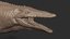 mosasaurus reptiles 3D model