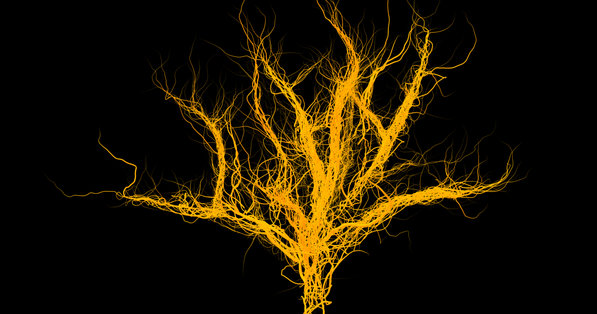 Animation growing tree animated