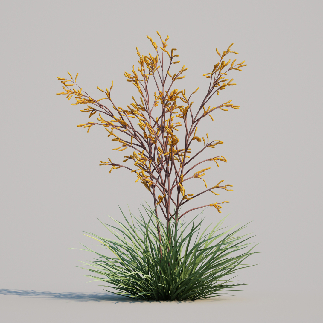 Kangaroo paw Anigozanthos 'Harmony' Modelo 3D TurboSquid 1594323