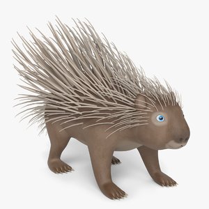 cartoon porcupine 3D