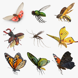 3D flying insects 4