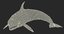 rigged fishes 5 3D
