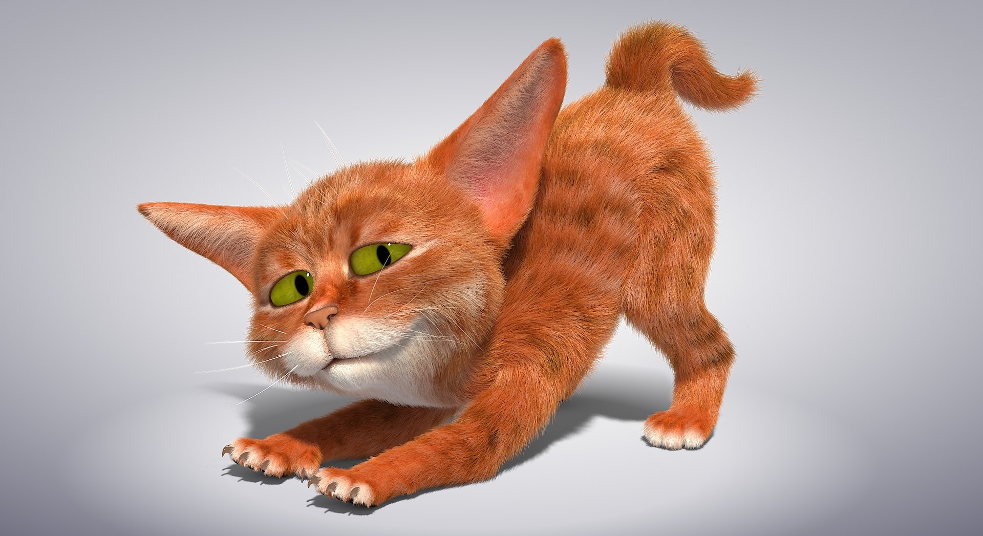 Cat character rig 3D model TurboSquid 1595375