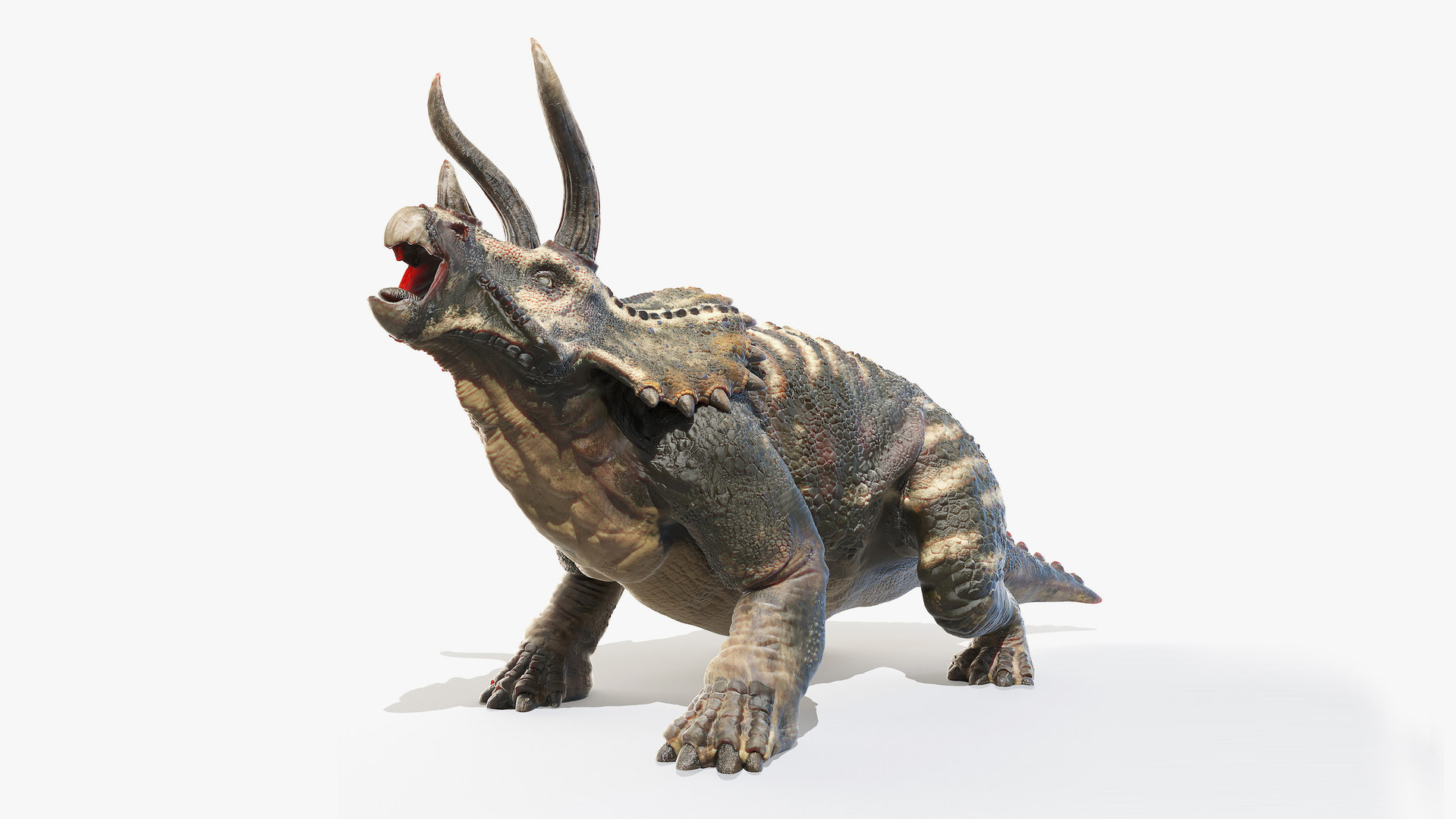 triceratops with 7 horns