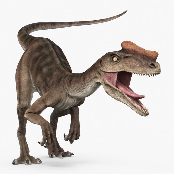 3D proceratosaurus theropod dinosaur