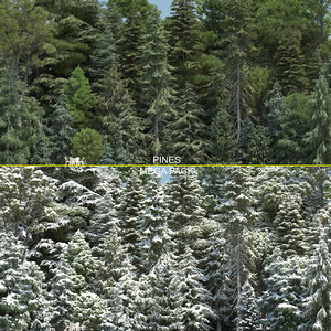 pine trees 60 3d model