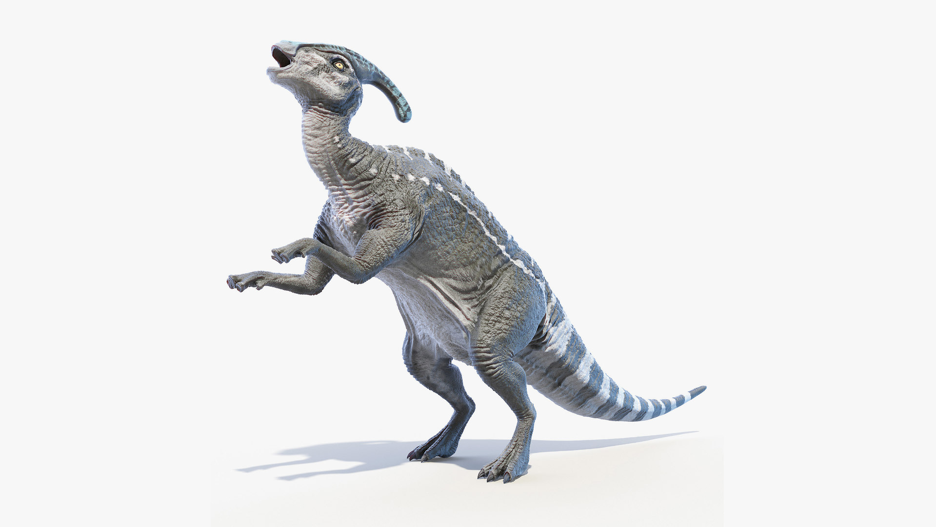 feathered parasaurolophus