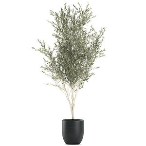 decorative olive tree black 3D model