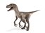 velociraptor blender v-multi model