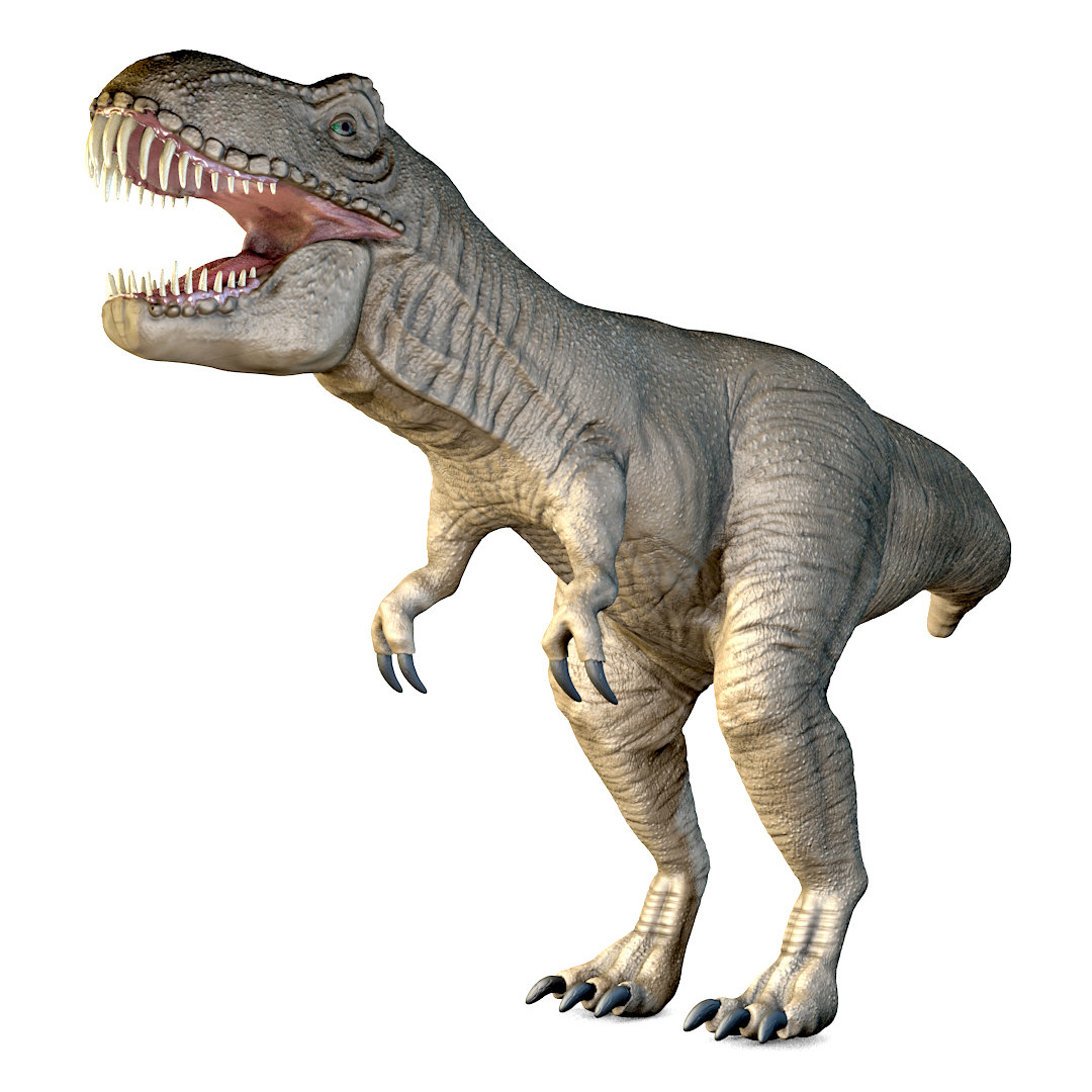 trex 3d model