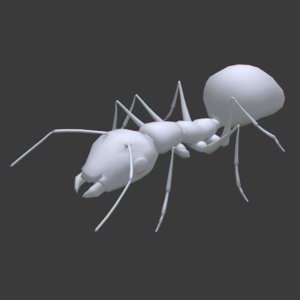 3D ant rigged animations