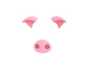 3D pig face