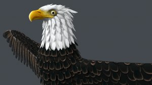 eagle bald 3D