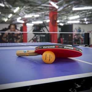 3D ping pong paddle model