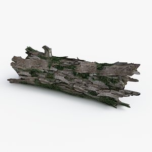 3D tree bark moss model