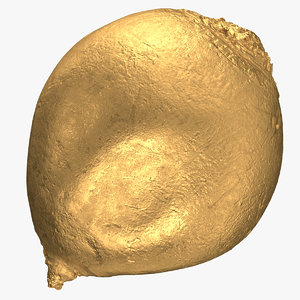 beethroot 01 gold 3D model