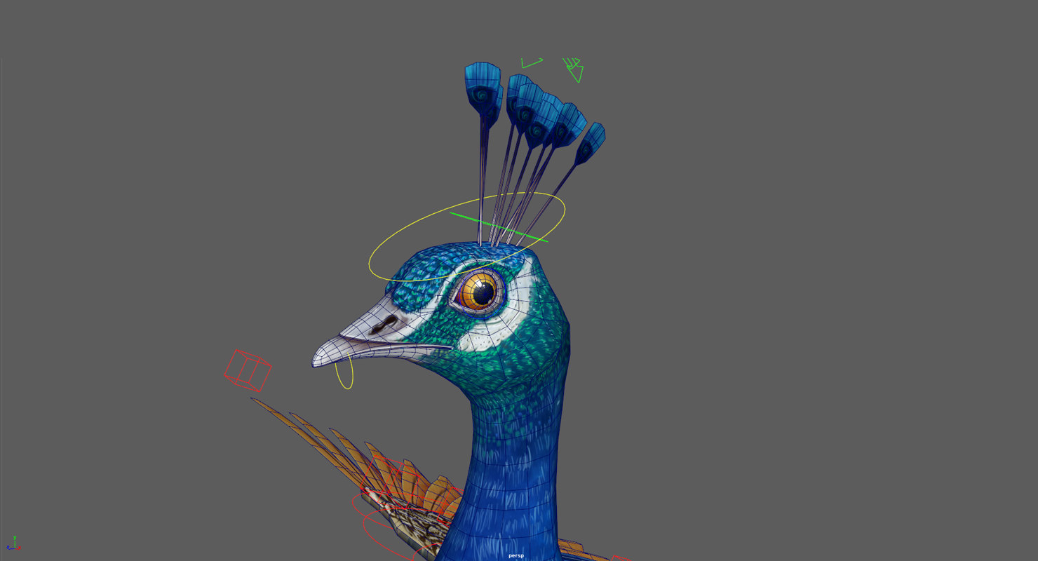CHINA SILK 3D PEACOCK