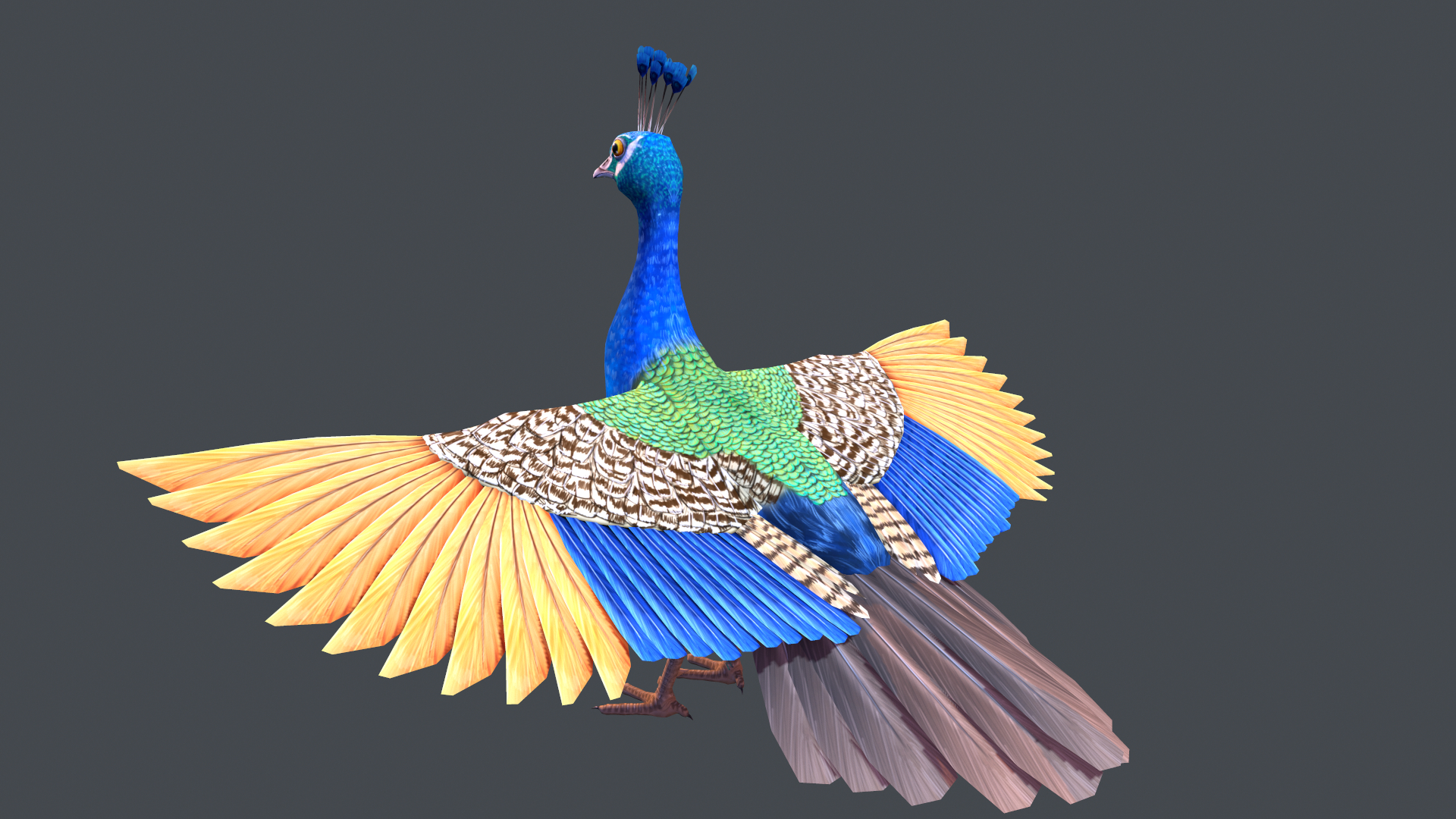 3D peacock stylized - TurboSquid 1597410