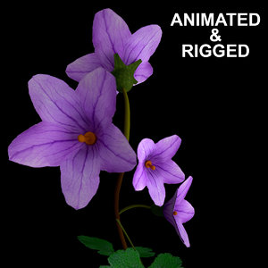 3D flowers open animation model