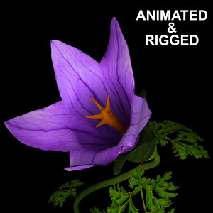 flowers open animation 3D model