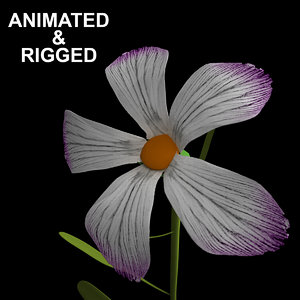 3D flowers open animation