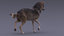 realistic rigged wolf natural 3D model