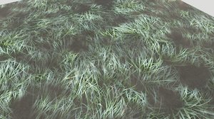 Water with algae and Plants 3