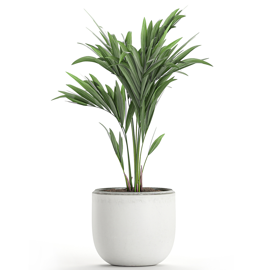 Plants interior white 3D model - TurboSquid 1598172