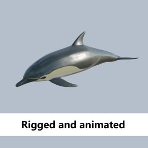3D dolphin rigged model