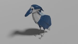 3D boat-billed heron model