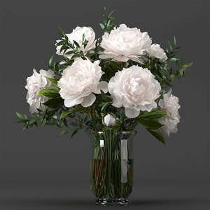 3D model bouquet white pions peony