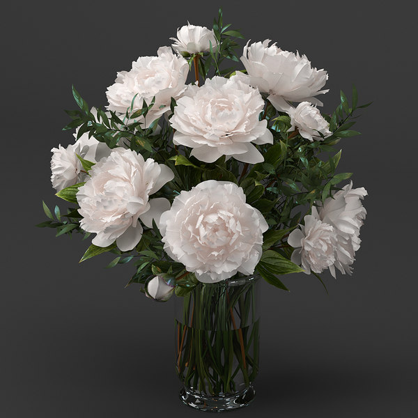 3d Model Bouquet White Pions Peony Turbosquid 159